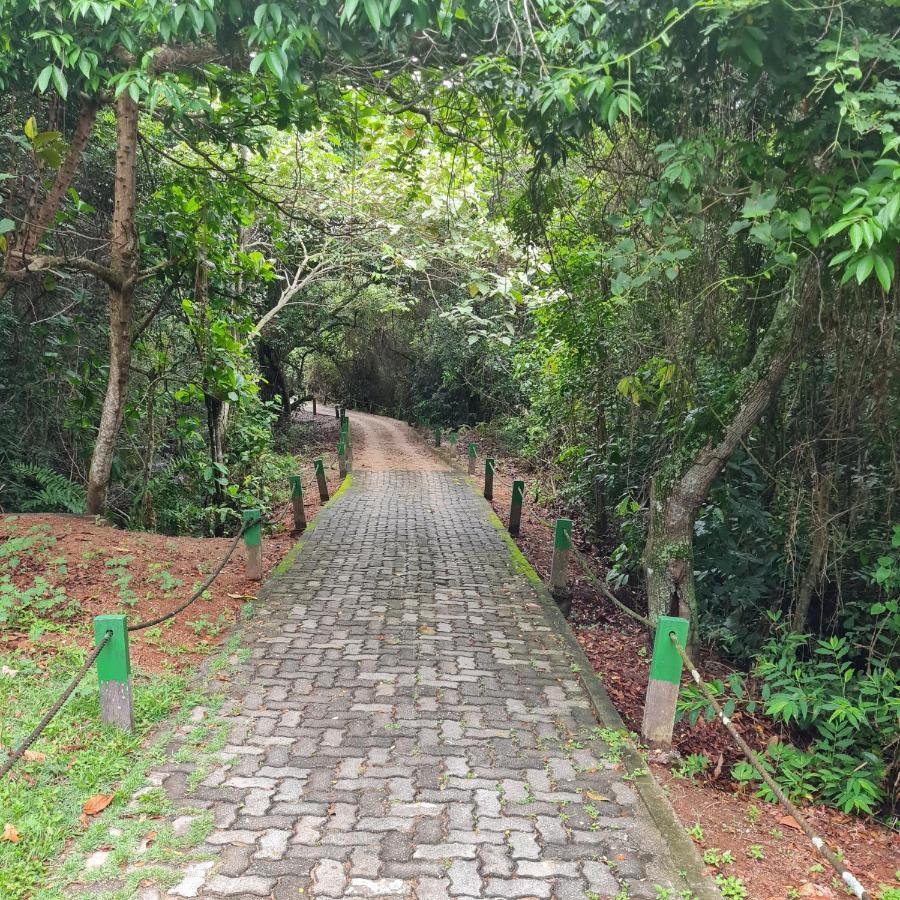 Suite Ampla No Melhor Da Barra Da Tijuca Rio de Janeiro Eksteriør billede